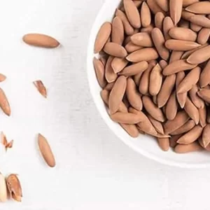 Jumbo Pine Nuts (Chilgoza Seeds) Without Shell 1kg Pack (2 x 500g)